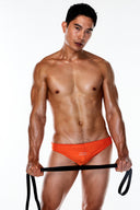Ultra Low-rise Swim Brief – Paprika